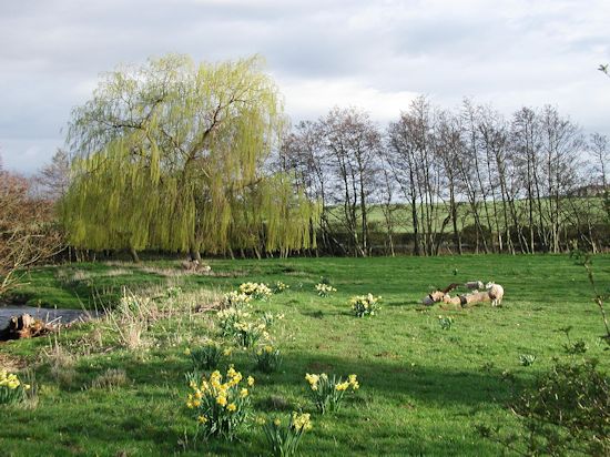 flat land